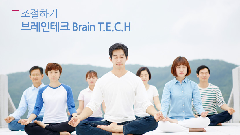 조절하기 브레인테크 Brain T.E.C.H